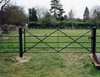 Iron Railings